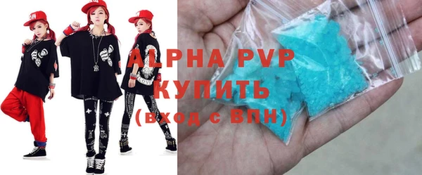 прущие грибы Богданович