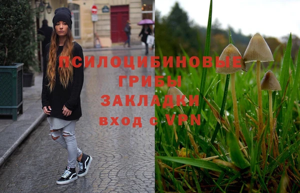 ешки Богородицк