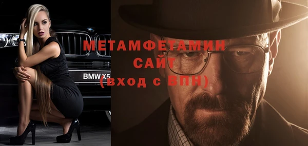 прущие грибы Богданович