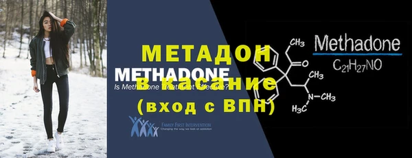 прущие грибы Богданович