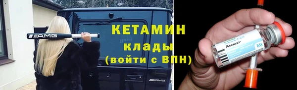 прущие грибы Богданович